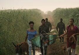 Colonialismo y esclavitud en el siglo XXI