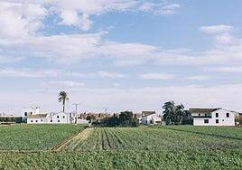 València, alma mediterránea más cerca que nunca