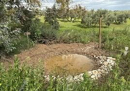 Un proyecto piloto aumenta la biodiversidad y la rentabilidad del cultivo en secano