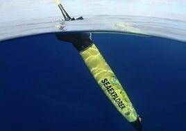 La ULPGC mide el ruido marino y su efecto en los cetáceos