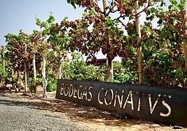 Inauguración de la primera bodega de Fuerteventura con DOP Islas Canarias: Conatvs, en Lajares