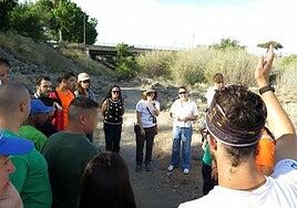 Jóvenes voluntarios luchan contra el rabo de gato en Fataga