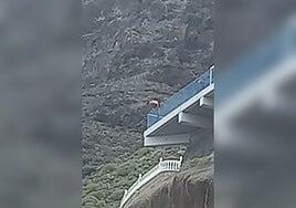 Susto en Tenerife: se juega la vida haciendo el pino sobre el acantilado del Mirador de los Gigantes