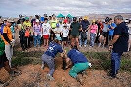 Arranca el Voluntariado Ambiental en Gran Canaria