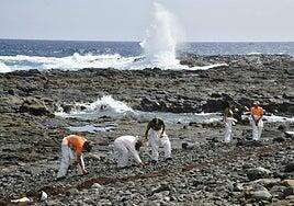 Áreas Marinas Protegidas en Canarias