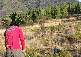 La finca de Vega de Las Cruces será cedida a Artenara otros 25 años