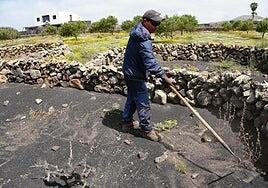 Lanzarote ya es Sistema Importante del Patrimonio Agrícola Mundial