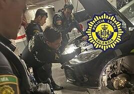 Sacan una culebra venenosa de tres metros del interior del motor de un coche en Valencia