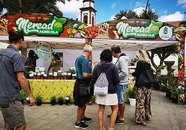 El mercado agrícola de Antigua vuelve al primer domingo de mes, guarapo incluido