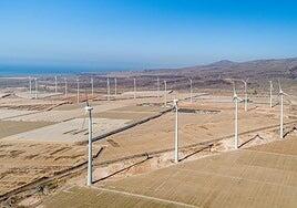 El Cabildo autoriza dos parques fotovoltaicos en el sur con informe contrario de Agricultura