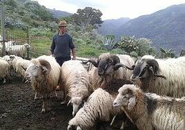 Juan Félix Medina conducirá 250 ovejas hasta Caideros para la Fiesta de la Lana