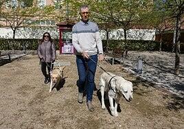 Los perros guía podrán acceder a cualquier espacio abierto al público en todo el país