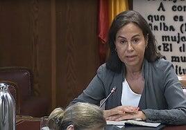 Pardo de Vera se niega a declarar en el Senado tras su imputación por contratar a Jésica