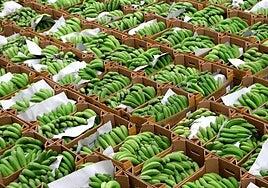 ¿Cómo hacerlo peor?