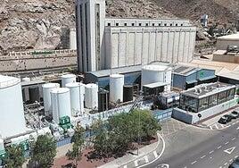 Cultura ambiental que deja huella verde