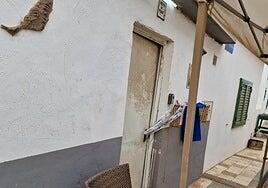 Operación Sombra Negra: investigan un alijo de 1.282 kilos de cocaína