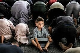 Hamás se ofrece a entregar el poder en Gaza si acaba la guerra