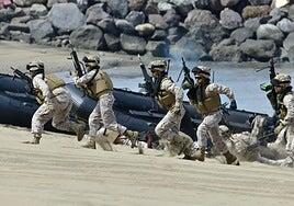 Las Fuerzas Armadas se exhiben en Gran Canaria ante la mirada del rey Felipe VI