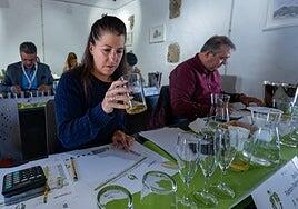 La mejor sidra de Canarias se elige en Valleseco entre 23 candidatas
