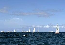 La mitad de la flota se retira en un complicado Concurso Guaguas Municipales