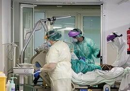 Canarias aprueba un quinto nivel de carrera profesional para el personal de la sanidad pública