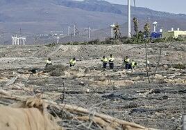 Seleccionadas 44 hectáreas entre 115 para la limpieza de invernaderos