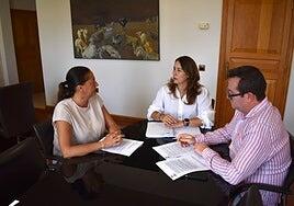 Parada la planta fotovoltaica de Llanos de la Higuera