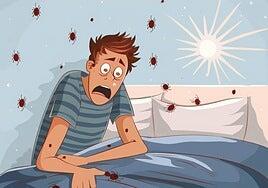 Por qué cada vez hay más plagas de chinches y cómo combatirlas