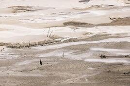 La sequía duplica su impacto desde el 2000 y golpea con fuerza a España, según la OCDE