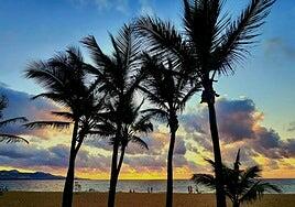 El viento fuerte vuelve a ser protagonista este domingo en Canarias