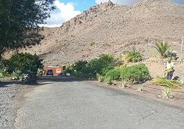 Un conflicto interno cierra temporalmente a visitantes el albergue de animales de Santa Lucía