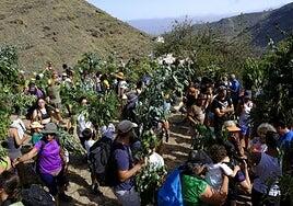 La Rama de San Pedro se baila, y también se vive
