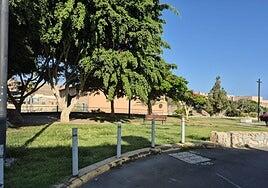 El proyecto del velatorio de Pino Seco afectaría, al menos, a diez árboles