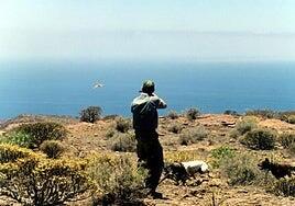 La caza arranca en Gran Canaria el 17 de agosto para conejo con perro y hurón