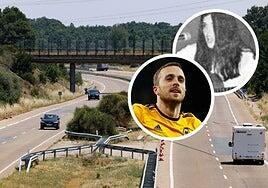 Las trágicas coincidencias entre el accidente mortal de Diogo Jota y el de la cantante Cecilia