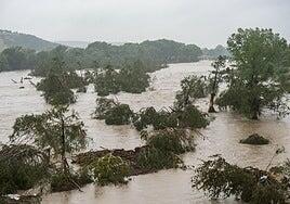 13 muertos y 23 niñas scout desaparecidas en unas inundaciones en Texas