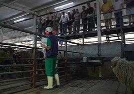 Misión comercial de cocineros a Mataderos Insulares