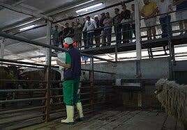 Misión comercial de cocineros a Mataderos Insulares