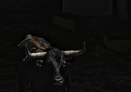 Pamplona aguarda a los imponentes Victoriano del Río