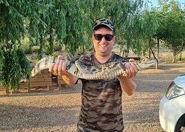 Encuentran vivo un caimán en el embalse de Almansa