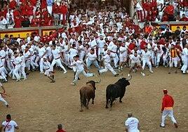 Los toros serios y nobles de la ganadería Palmosilla protagonizarán el penúltimo encierro de San Fermín