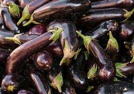 Las berenjenas son para el verano