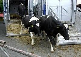 Las ayudas para fomentar el consumo de carne fresca en las islas ascienden a 3,2 millones