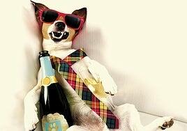 Beber de nuevo tras una resaca brutal… ¿por qué volvemos a hacerlo?