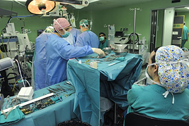 Descubren una molécula en el intestino que causa la aterosclerosis, que está detrás de las muertes por ataques cardíacos e ictus