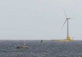 ¿Es compatible la energía eólica marina con la protección del océano?