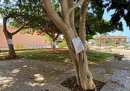 La Diputación del Común accede a mediar en la protesta por el velatorio de Pino Seco