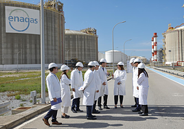 Enagás gana 176 millones impulsado por las ventas en México y Perú