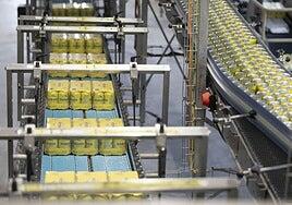 Cervecera de Canarias amplía su oferta de cerveza sin alcohol ante el crecimiento constante de la demanda