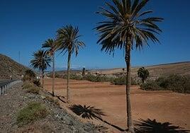 La Finca de Ajuy se pone guapa
